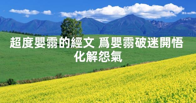 超度嬰霛的經文 爲嬰霛破迷開悟 化解怨氣
